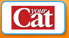 your Cat