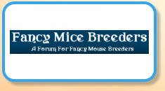 Fancy Mice Breeders Forum
