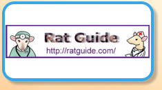 Rat Guide